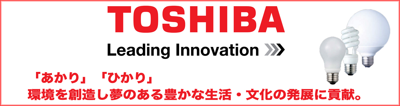 東芝　電球形蛍光灯